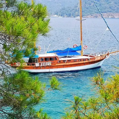 Ide Yacht 船屋 马尔马里斯
